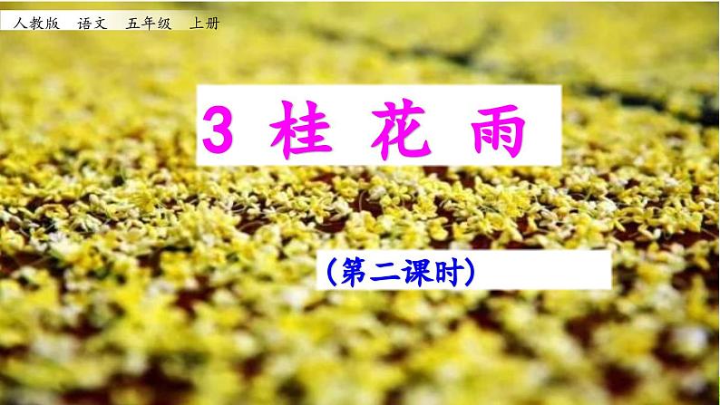 《桂花雨》教学课件(第二课时)第1页