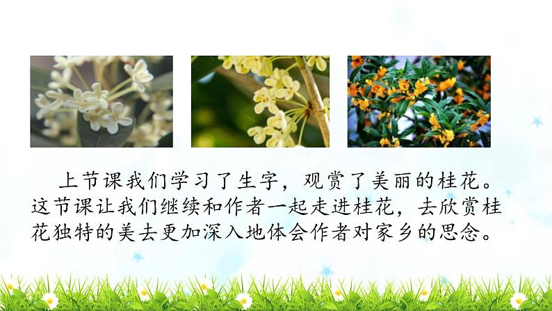 《桂花雨》教学课件(第二课时)第2页