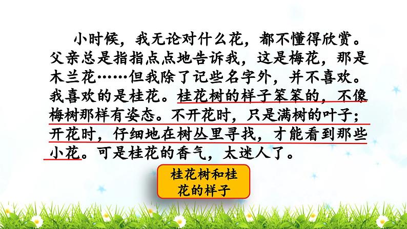《桂花雨》教学课件(第二课时)第5页