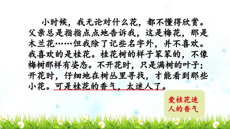 《桂花雨》教学课件(第二课时)第7页