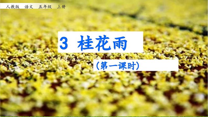 《桂花雨》教学课件(第一课时)第2页