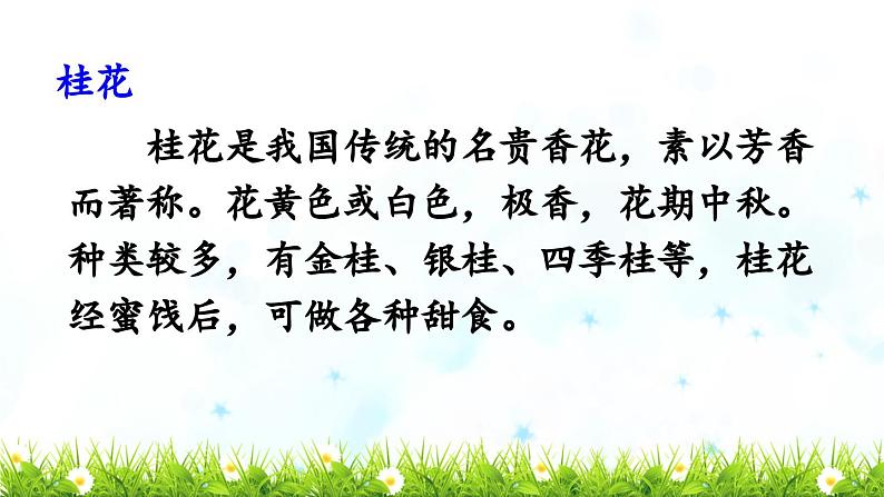 《桂花雨》教学课件(第一课时)第4页