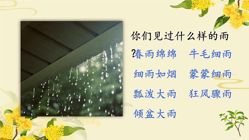 《桂花雨》教学课件1(第一课时)01
