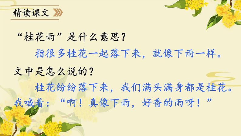 《桂花雨》教学课件1(第一课时)05
