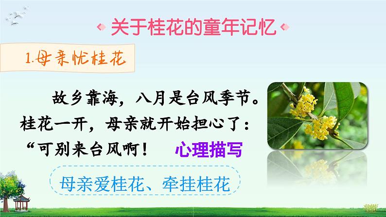 《桂花雨》精品课件(第二课时)第6页