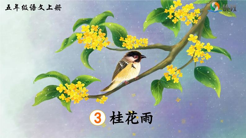 《桂花雨》精品课件(第一课时)03