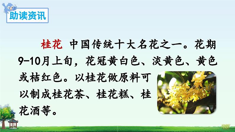 《桂花雨》精品课件(第一课时)05