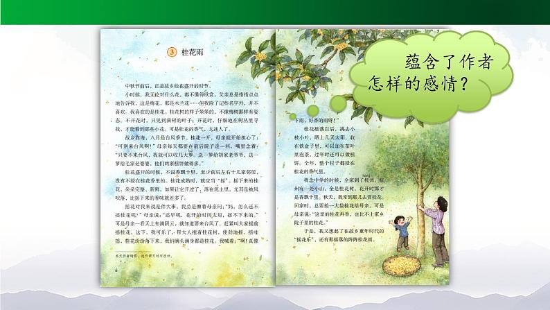 《桂花雨》精选课件(第二课时)03