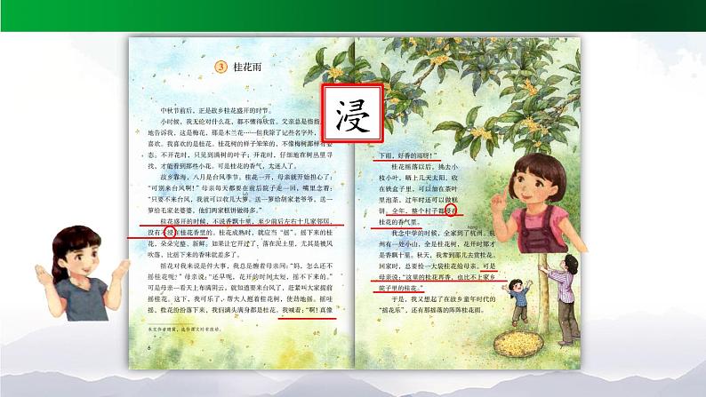 《桂花雨》精选课件(第二课时)07