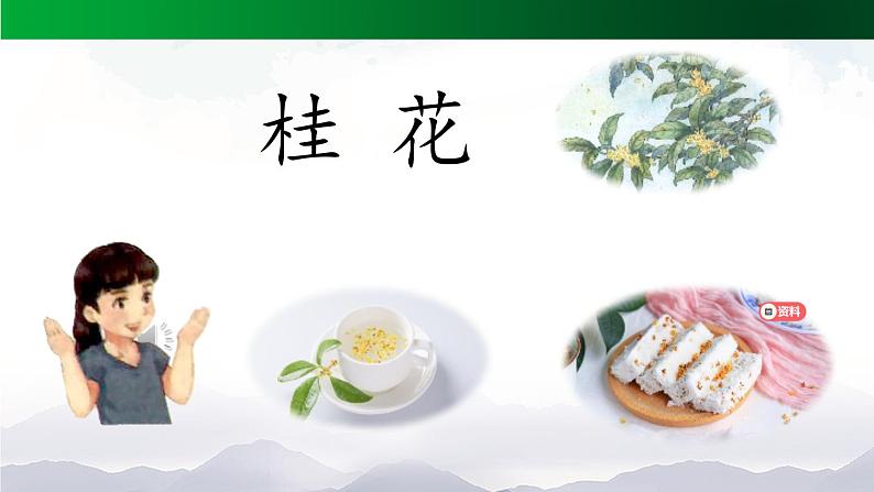 《桂花雨》精选课件(第一课时)05