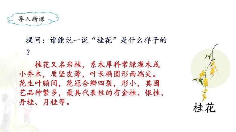 《桂花雨》名师课件(第一课时)第2页