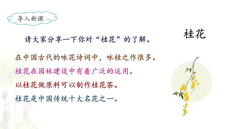 《桂花雨》名师课件(第一课时)第3页