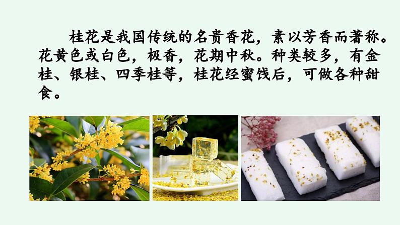 《桂花雨》优质课件(第一课时)第2页