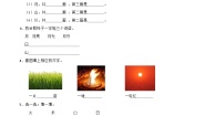 小学语文统编版（2024）一年级上册（2024）4 日月山川课时练习