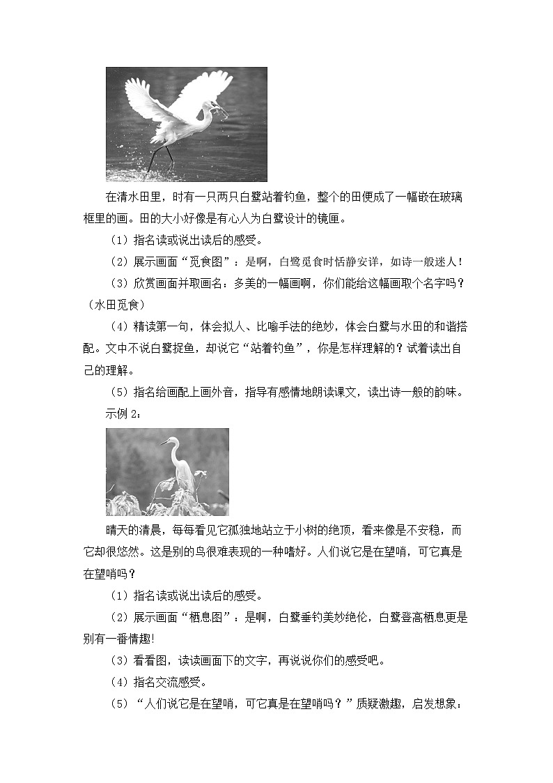 《白鹭》教学设计1(第二课时)第2页