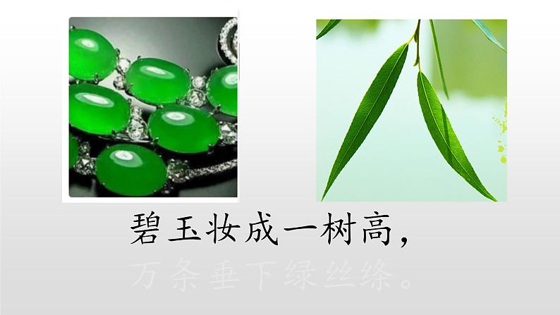 部编版(五四制)语文二年级下册 1 《咏柳》(课件)第6页