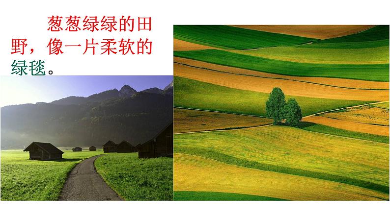 部编版(五四制)语文二年级下册 7 一匹出色的马(课件)第8页