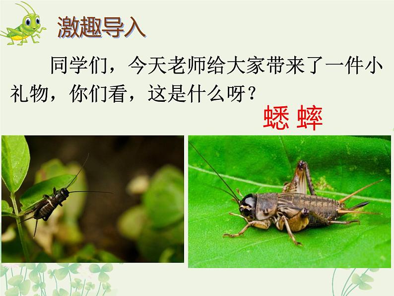 部编版(五四制)语文二年级下册 11 我是一只小虫子(课件)第2页
