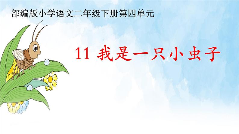 部编版(五四制)语文二年级下册 11 我是一只小虫子(1)(课件)第1页