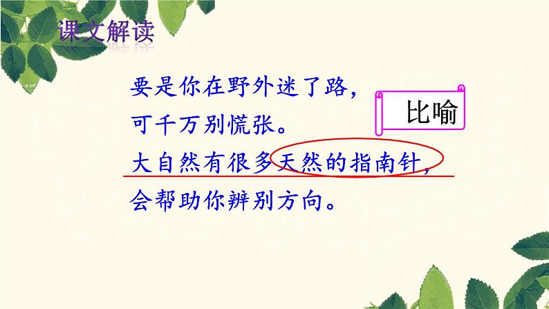 部编版(五四制)语文二年级下册 17 要是你在野外迷了路(第二课时)(课件)第4页
