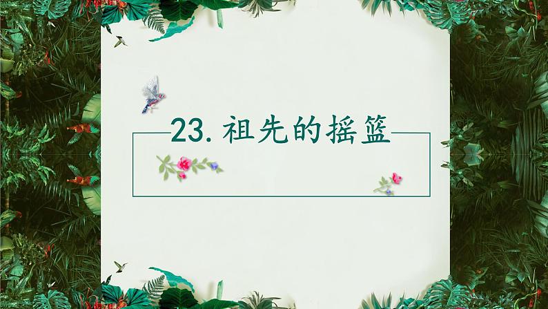 部编版(五四制)语文二年级下册 23 《祖先的摇篮》(课件)第3页