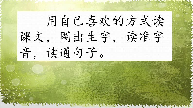 部编版(五四制)语文二年级下册 23 《祖先的摇篮》(课件)第7页