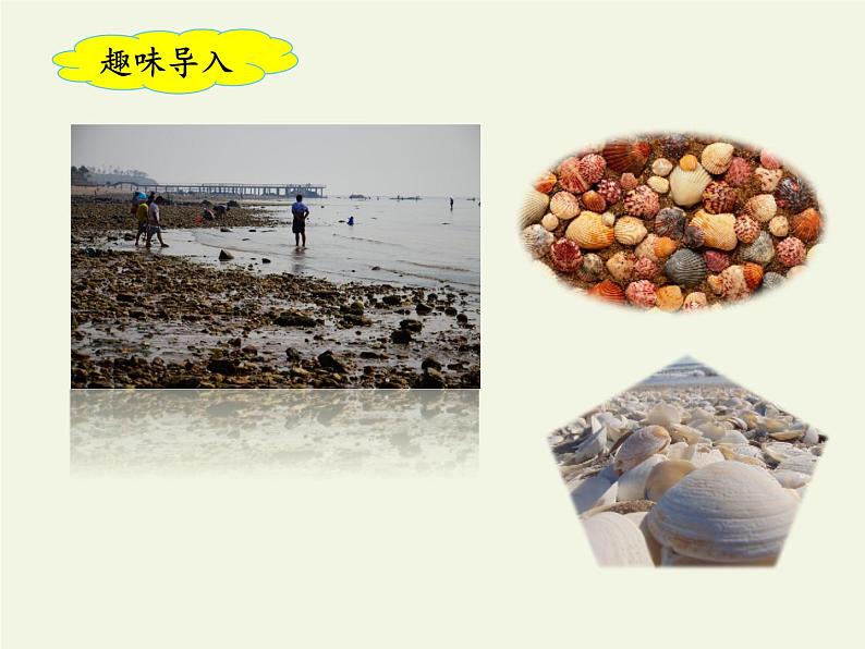 部编版(五四制)语文二年级下册 3 “贝”的故事(课件)02