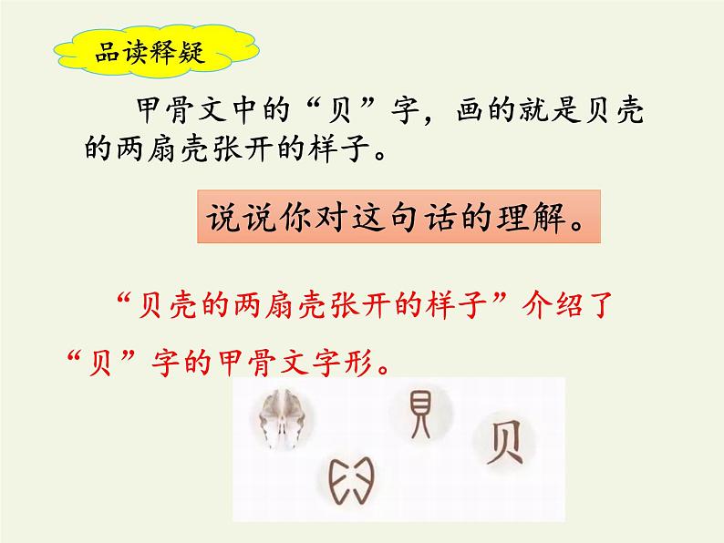 部编版(五四制)语文二年级下册 3 “贝”的故事(课件)07
