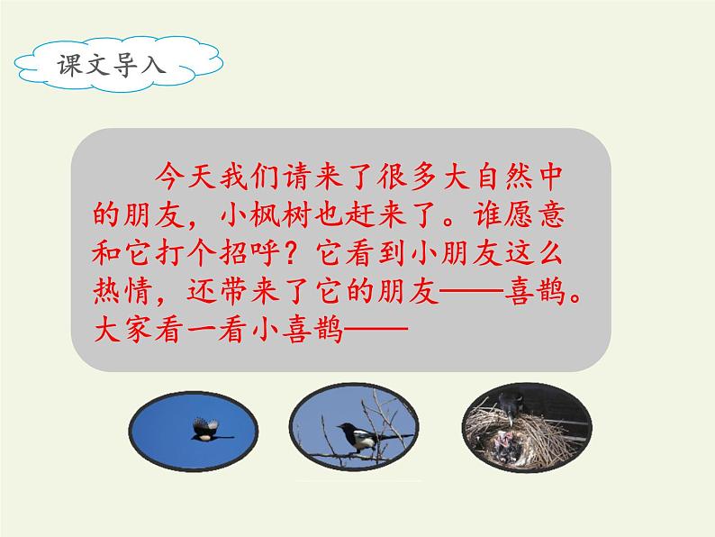 部编版(五四制)语文二年级下册 9 枫树上的喜鹊(课件)第3页