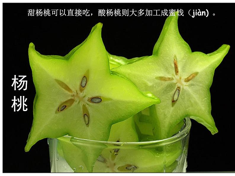 部编版(五四制)语文二年级下册 13 画杨桃课件(课件)03