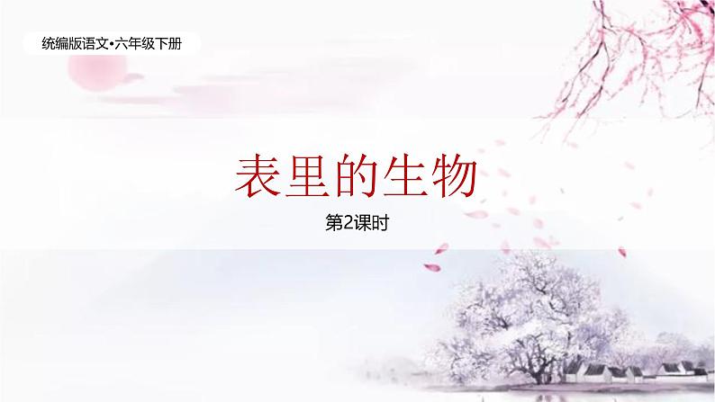 统编版语文六年级下册5单元《表里的生物》课件2课时(含课后练习)+教案(含教学反思)+说课稿+字体01