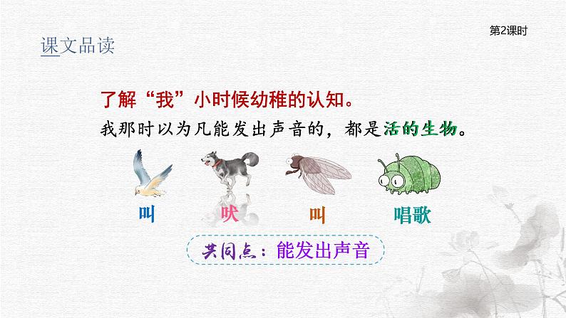 统编版语文六年级下册5单元《表里的生物》课件2课时(含课后练习)+教案(含教学反思)+说课稿+字体04