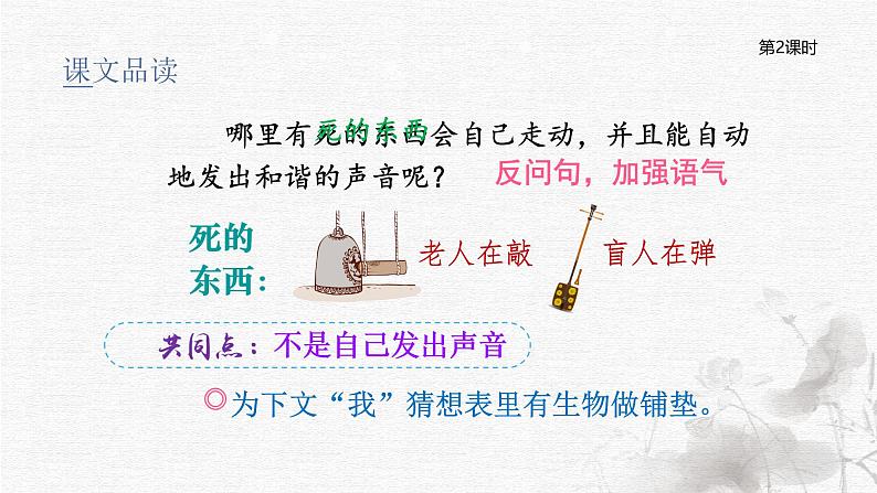 统编版语文六年级下册5单元《表里的生物》课件2课时(含课后练习)+教案(含教学反思)+说课稿+字体05