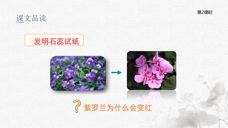 真理诞生于一百个问号之后(2课时)(含课后练习、课外练习)第7页