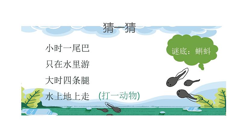 统编版(2024)二年级语文上册小蝌蚪找妈妈课件第4页