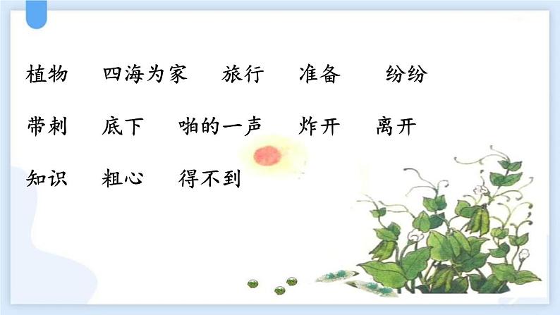 统编版(2024)二年级语文上册植物妈妈有办法课件2第2页