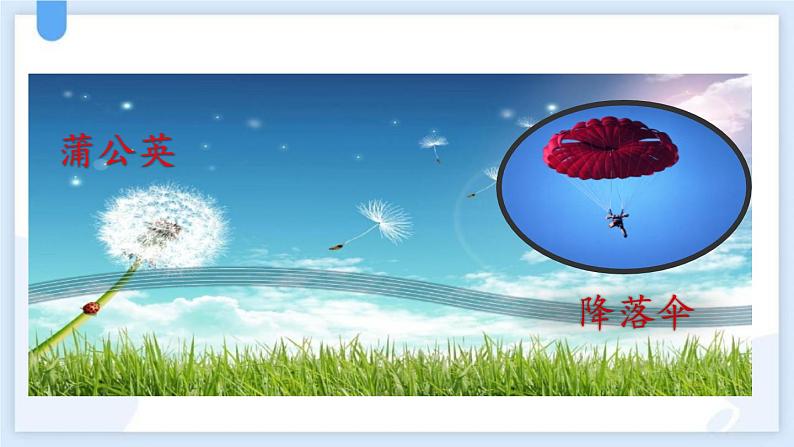 统编版(2024)二年级语文上册植物妈妈有办法课件2第3页