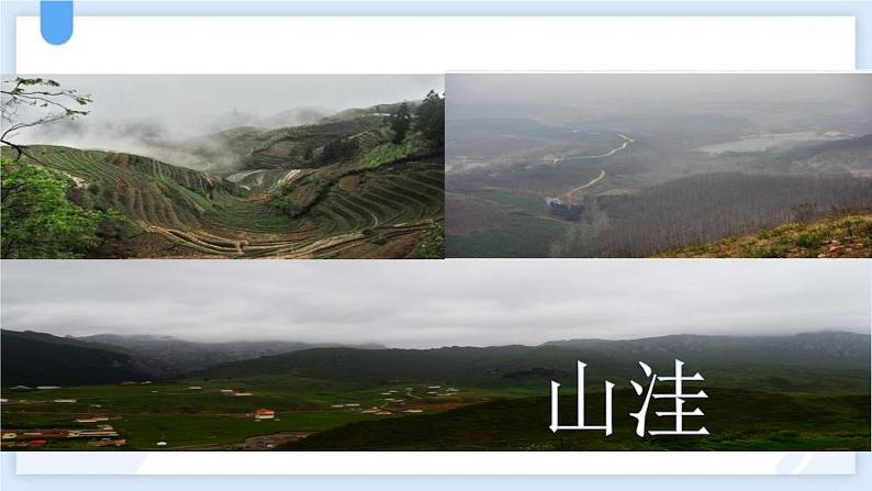 统编版(2024)二年级语文上册植物妈妈有办法课件2第4页