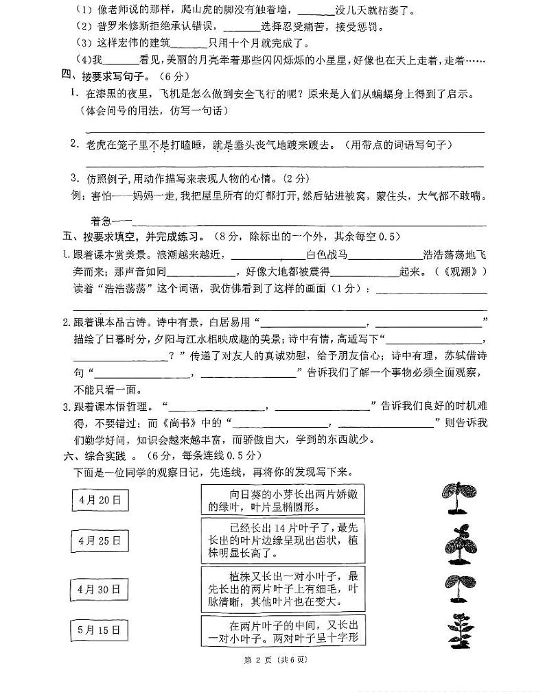 浙江省台州市温岭市2023-2024学年四年级上学期期末语文试卷02