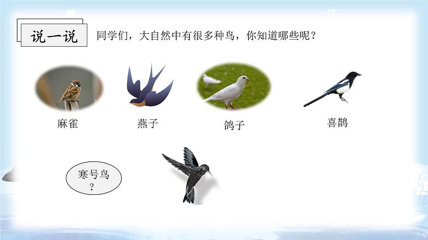 第13課《寒號(hào)鳥》(教學(xué)課件)第3頁