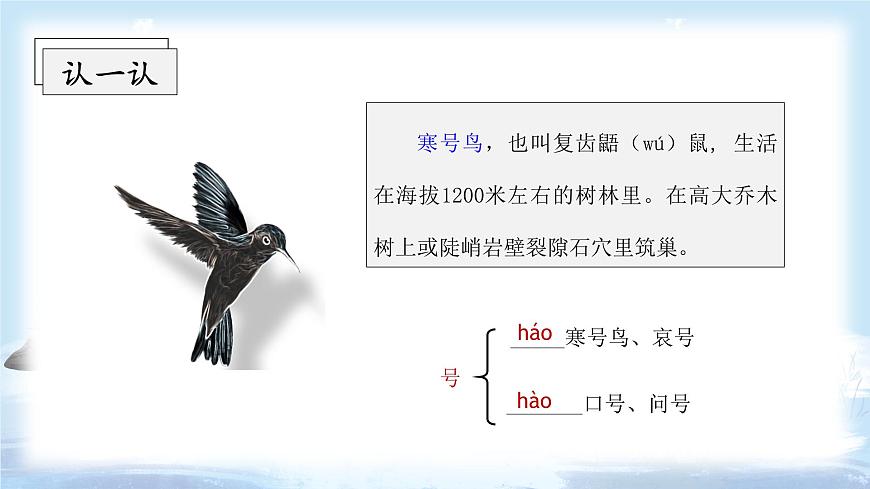 第13課《寒號(hào)鳥》（教學(xué)課件）第4頁