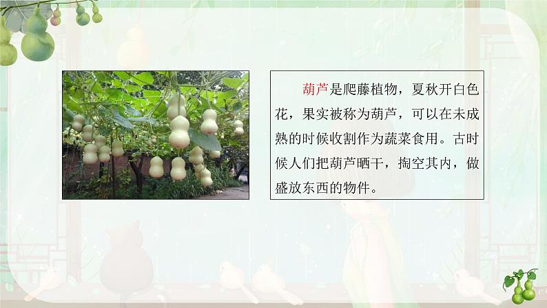 第14课《我要的是葫芦》(教学课件)第4页