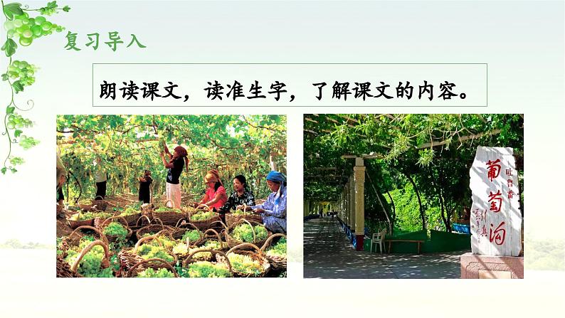 《葡萄沟》教学课件(第二课时)04
