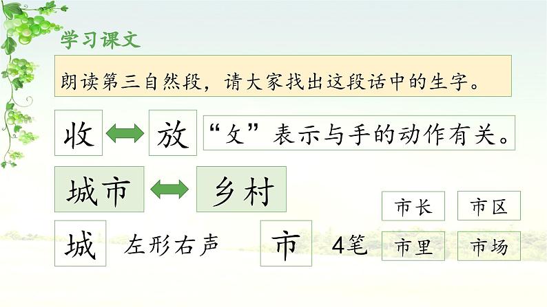 《葡萄沟》教学课件(第二课时)05