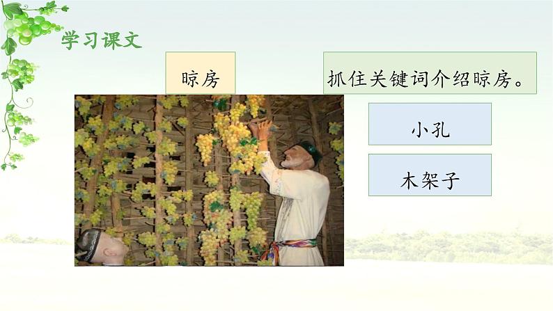 《葡萄沟》教学课件(第二课时)07