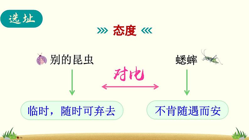 《蟋蟀的住宅》精品课件(第二课时)105