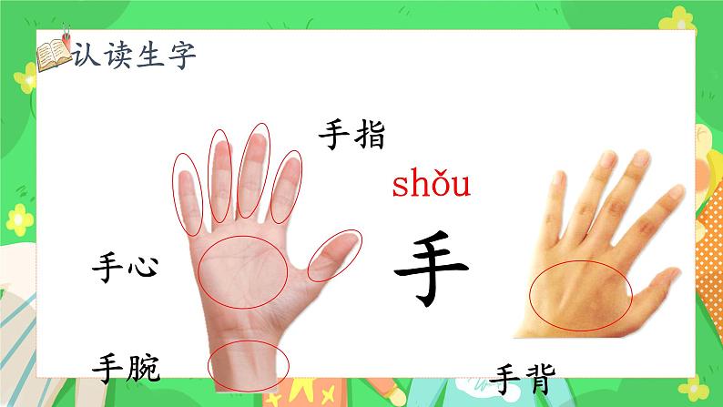 识字3《口耳目手足》课件PPT+教案+音视频素材06
