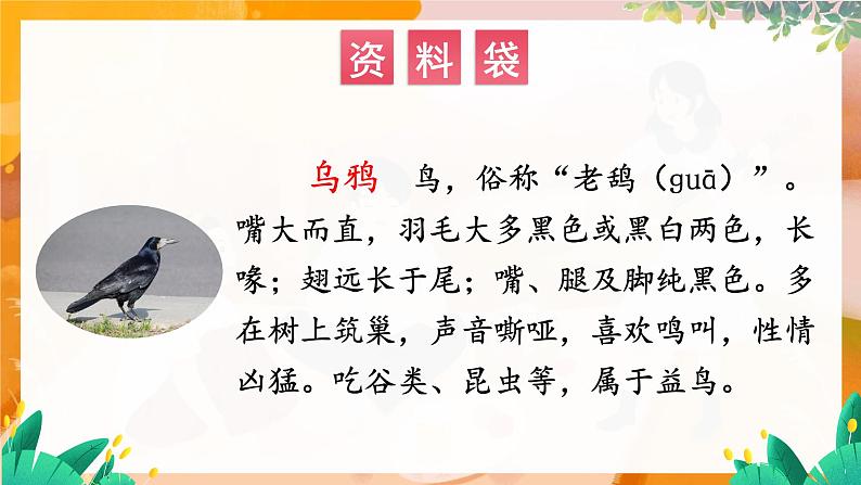部编版(2024)语文一年级上册 _第八单元 阅读 9 乌鸦喝水 PPT课件02