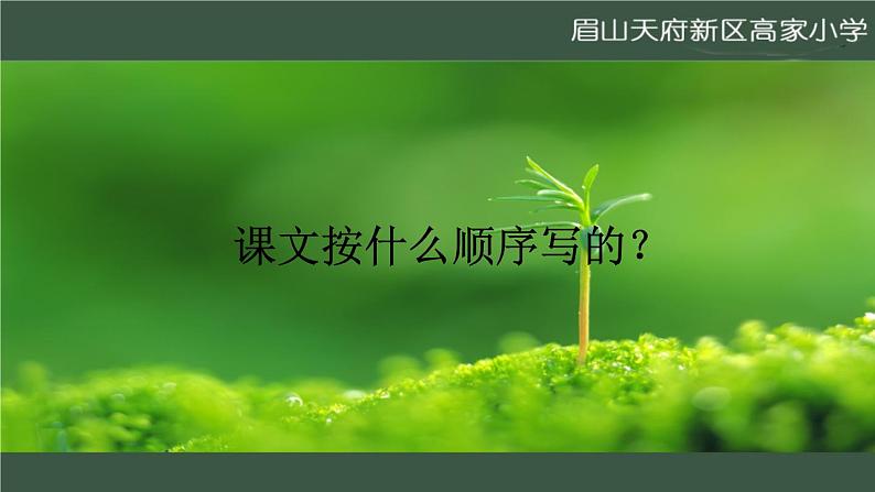那个星期天课件第7页