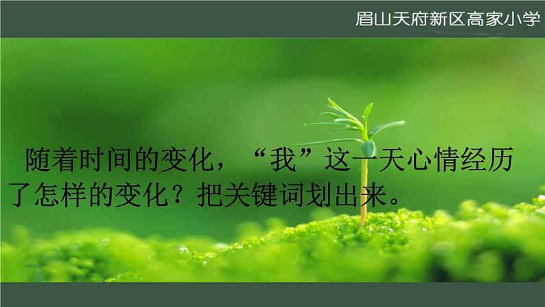 那个星期天课件第8页